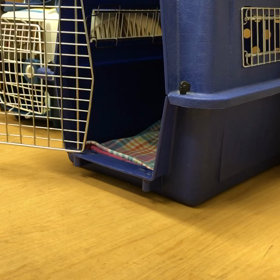 まずは首までいこうぜ。の画像