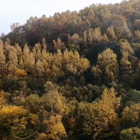 天狗山ロープウェイの画像