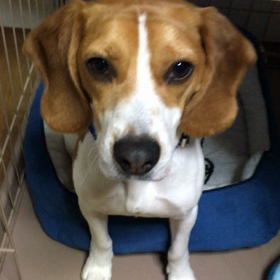 早速〜〜の画像