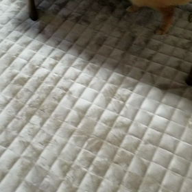 元気いっぱい❗の画像