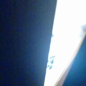 真夜中ですよ…の画像