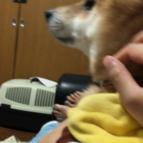 早朝覚醒だけどの画像