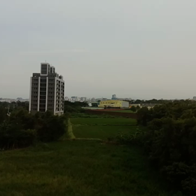 南へGOGO！の画像