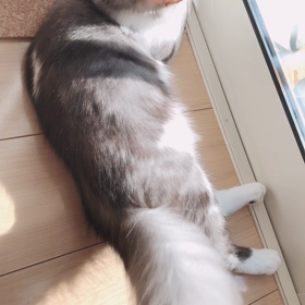 私に１３万くれて！の画像