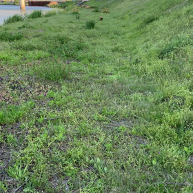 撮り溜めていたうさぎ動画④の画像