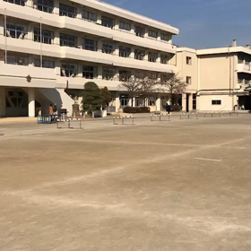 記録会 ハードル①の画像