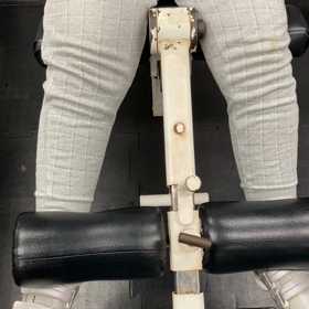 ハムに入ったの画像