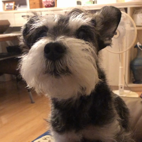 お忘れでは？の画像