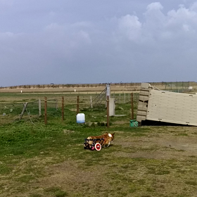 強風すぎての画像