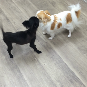 ♪プレイルーム動画♪の画像