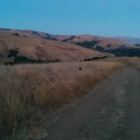 かくれんぼの画像