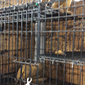 贅沢タワーの画像