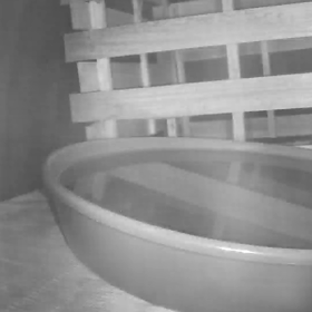 すぎぴたんの事件簿シーズン3　396話（飛んで水に入る、夏の虫！）の画像