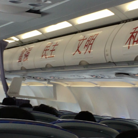 スローガンが飛行機に"搭乗".の画像