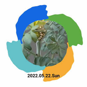最終形態1号2022の画像