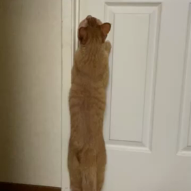 日曜日の朝の画像