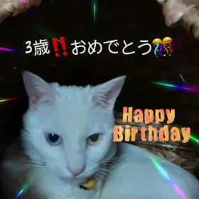 今日も……の画像