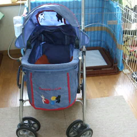 動画のススメ～パグだってこんな身軽なんです～の画像