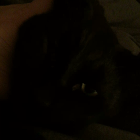 ベッド限定の画像