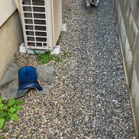 一瞬　ヒヤリの画像