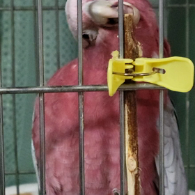 今日も元気にの画像