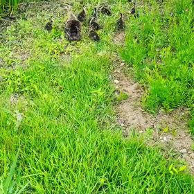 ♡りだ♡   Instagram更新の画像