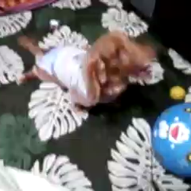 帰ってきました!!の画像