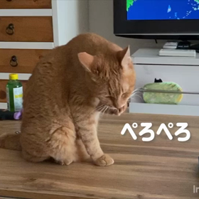 みさとペロン❣️の画像