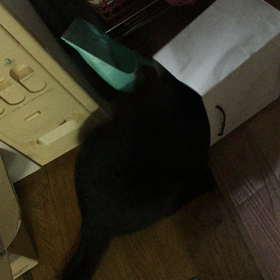 夏バテ注意の画像