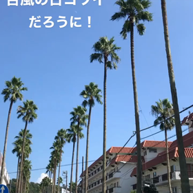 ソヨソヨと！の画像