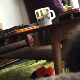 めっちゃ可愛いウチのアイドル！の画像