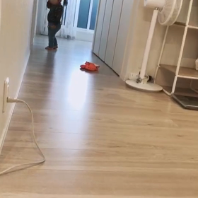 我が家のの画像