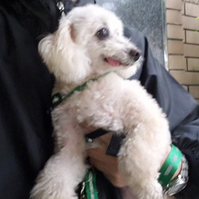 雨が降りだした朝の会話の画像