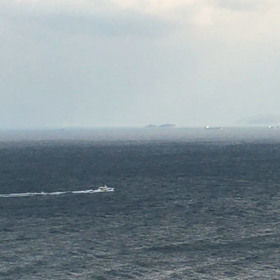 揺れてるーの画像