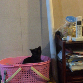 何これ❓の画像