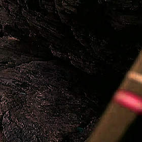 とんだ災難。の画像