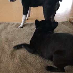 今日からの画像