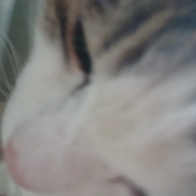 みゅうちゃんの可愛さの画像