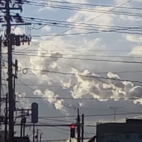 今日は恋人の日の画像