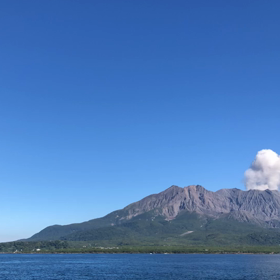出張中の癒しの画像
