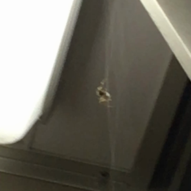 JRの車内は環境が良すぎるのか？の画像