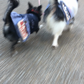 うしろが気になる★の画像