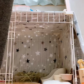 隠し撮りだよの画像