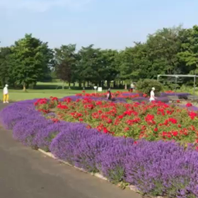 札幌からの画像
