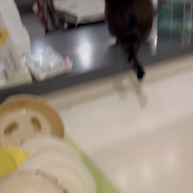 夜中の運動会の画像