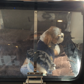 ⬛️2/22〜2/28＊酸素カプセルご利用のお友達⬛️2の画像