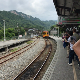 台湾の動画とかトイレットペーパー事情とかの画像