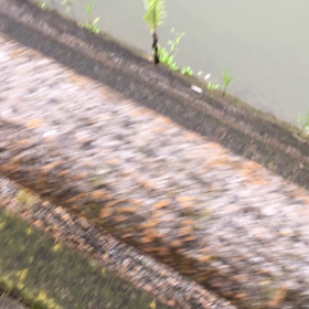 君たちはいいねの画像