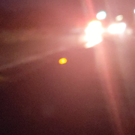 本日の呟き (622)  続編の画像