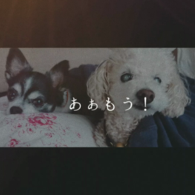 笑顔の伝染の画像